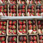 Aardbeien gedopt in chocolade Aardbeien gedopt in chocolade
